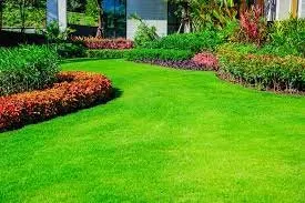 Custom residential landscaping for outdoor upgrades in Iota, LA by Marceaux’s Lawn and Maintenance