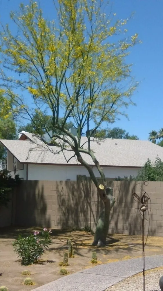 Top-rated garden landscaping in Glendale, AZ by Marcelino Landscaping