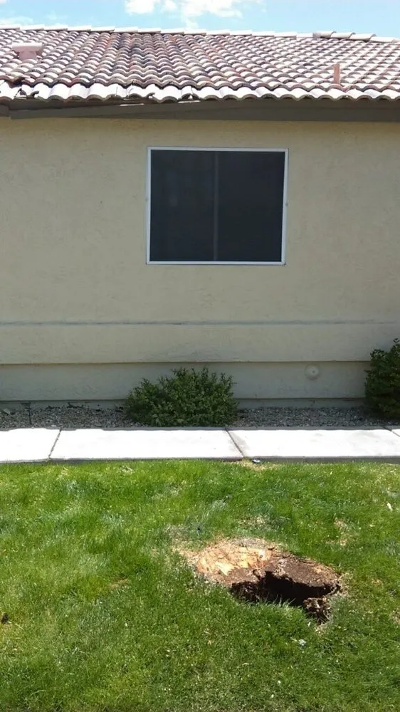 Local landscape design for year-round maintenance in Glendale, AZ by Marcelino Landscaping