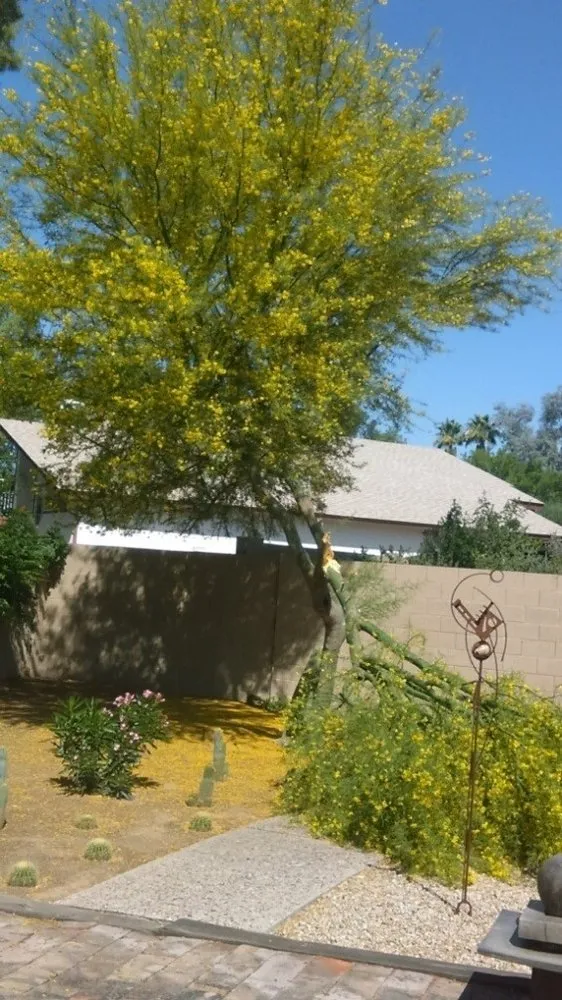 Custom landscaping services experts serving Glendale, AZ - Marcelino Landscaping