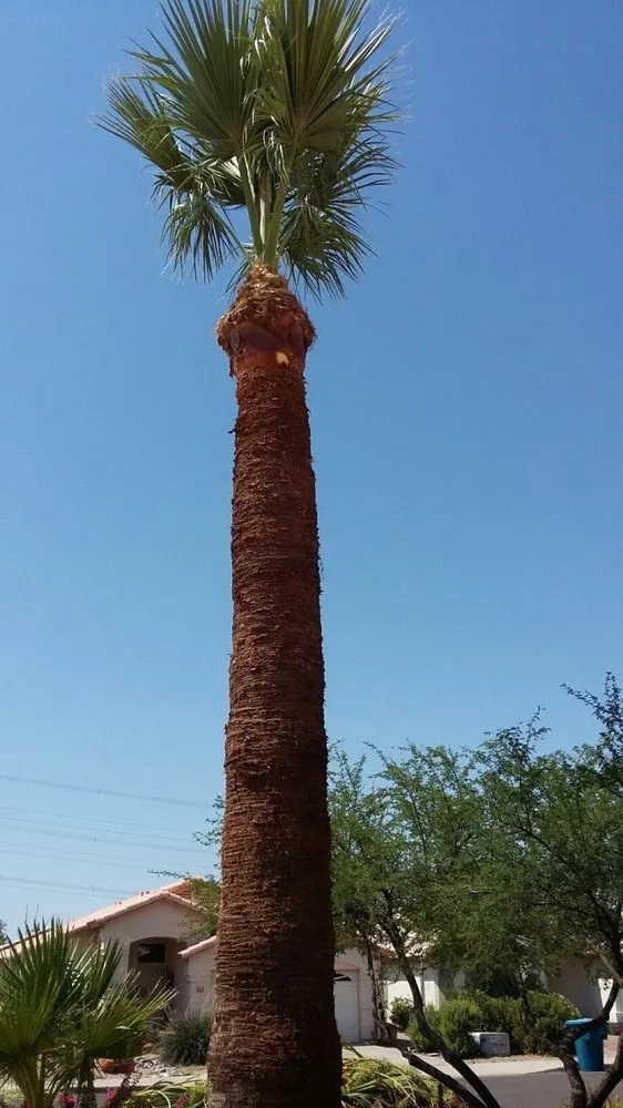 Trusted landscape installation for outdoor upgrades across Glendale, AZ - Marcelino Landscaping