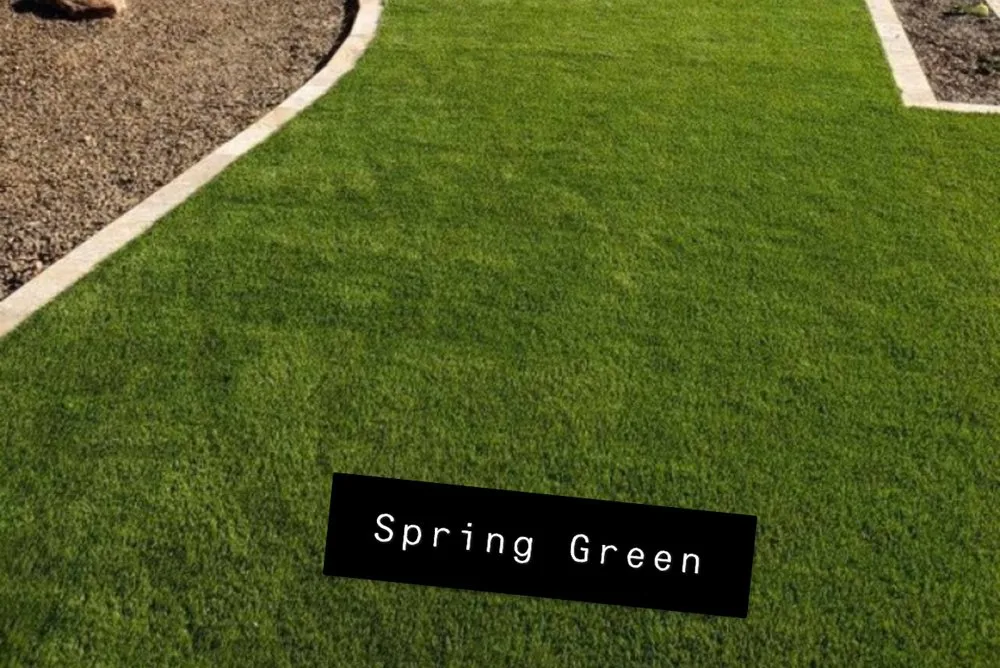 Reliable landscape installation with custom design in Glendale, AZ by Marcelino Landscaping