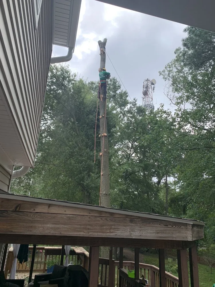 Custom residential landscaping in Gaithersburg, MD - Marcell Landscaping and Tree Service