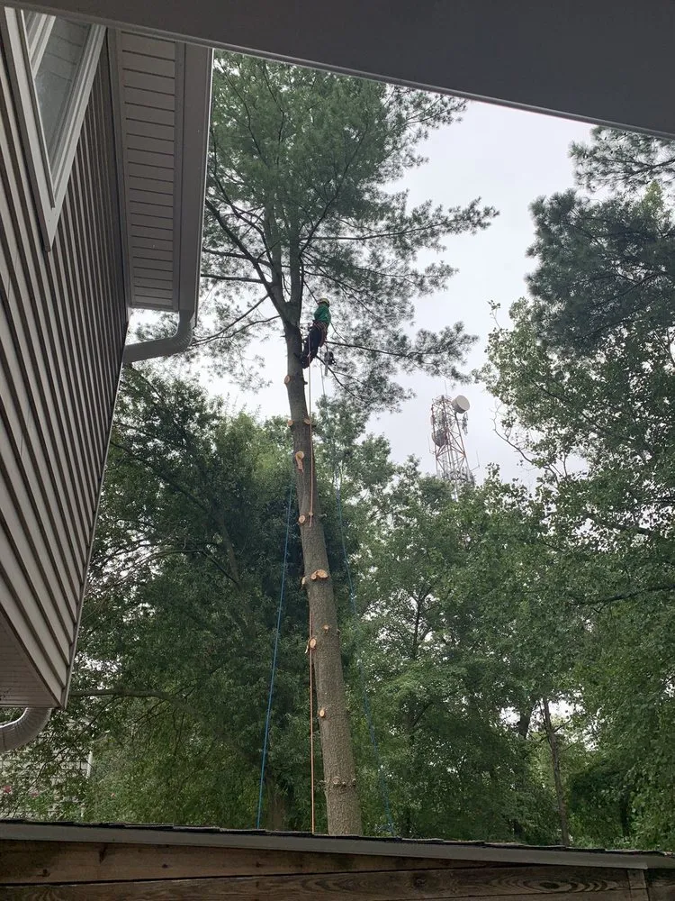 Professional lawn mowing service with custom design in Gaithersburg, MD by Marcell Landscaping and Tree Service