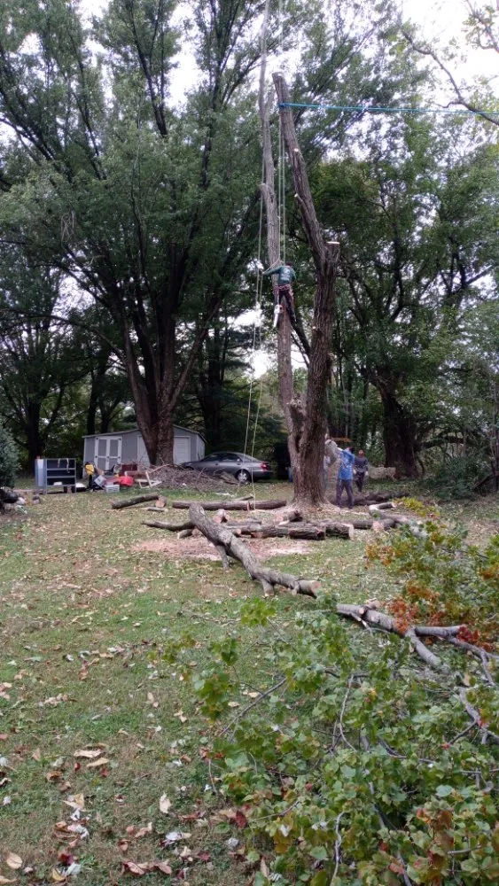 Affordable landscape installation in Gaithersburg, MD by Marcell Landscaping and Tree Service