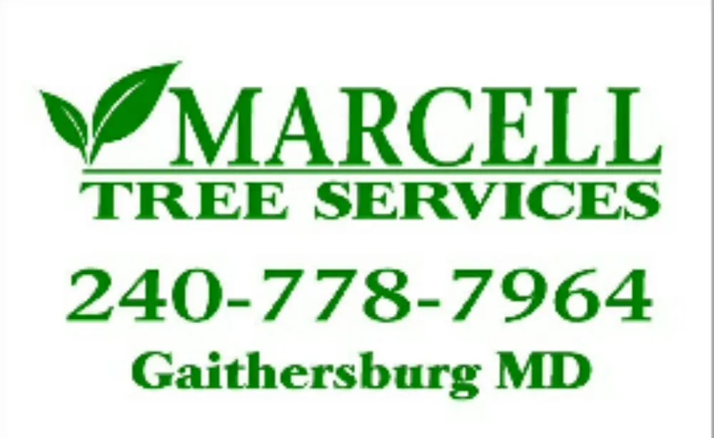 Affordable landscape design for outdoor upgrades across Gaithersburg, MD - Marcell Landscaping and Tree Service