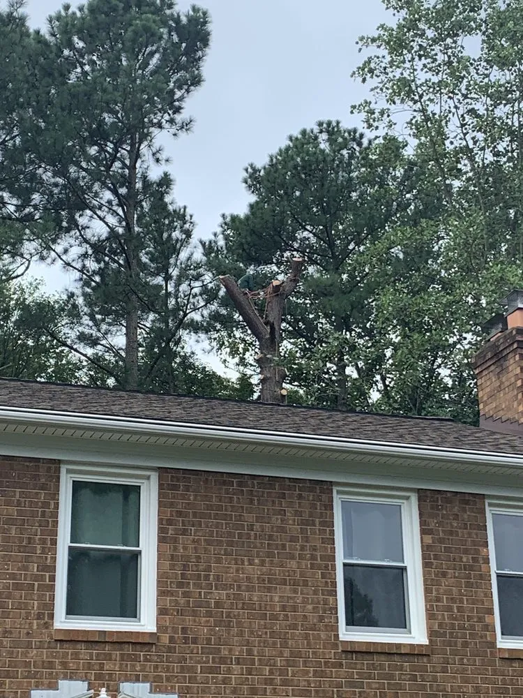 Custom landscape installation for outdoor upgrades across Gaithersburg, MD - Marcell Landscaping and Tree Service