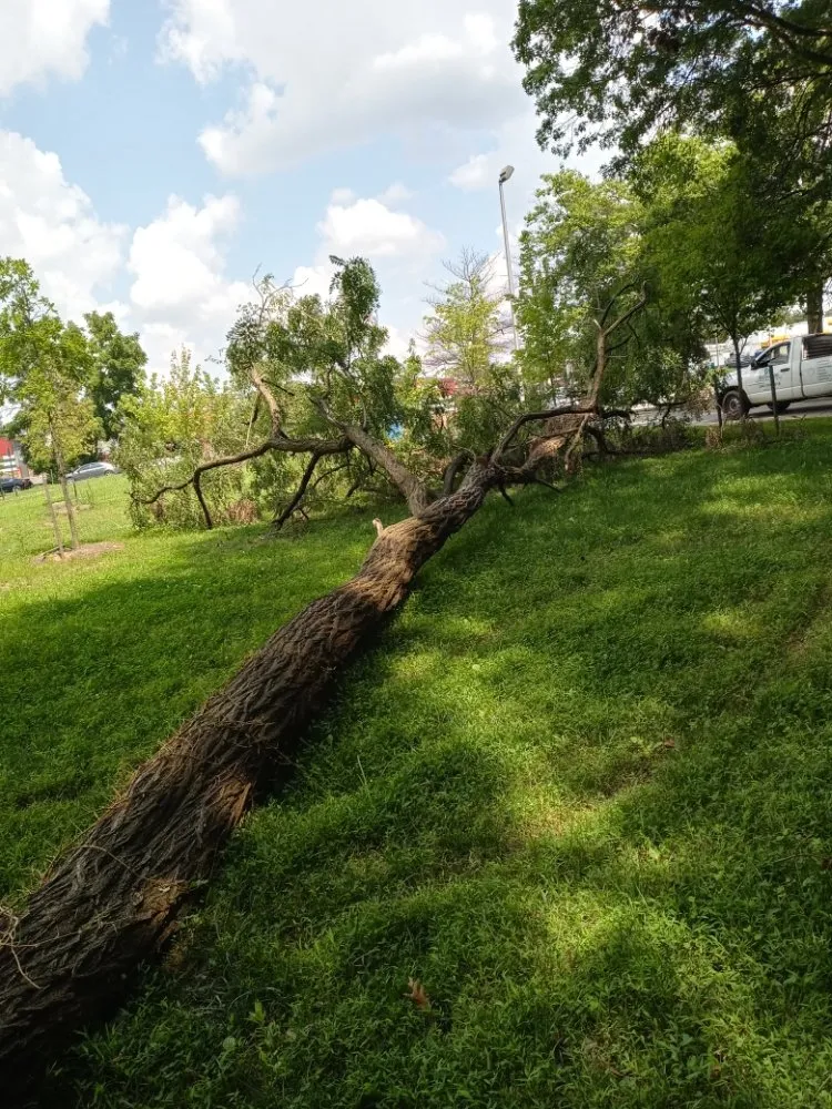 Expert landscape installation with custom design across Gaithersburg, MD - Marcell Landscaping and Tree Service