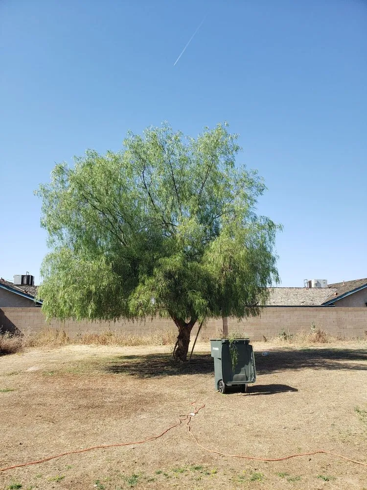 Reliable residential landscaping with custom design in Tulare, CA by Marcello Pena Landscapes