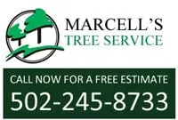 Local landscape design near you in Louisville, KY by Marcell's Tree Service