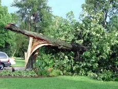 Trusted lawn mowing service in Louisville, KY by Marcell's Tree Service