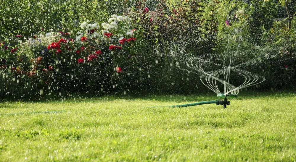 Reliable yard cleanup service for residential properties across Haines City, FL - Marcelo Landscaping and Irrigation