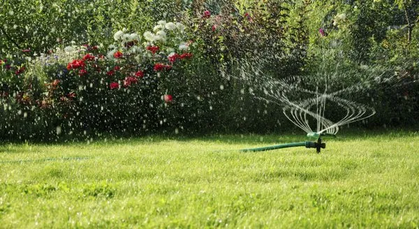 Marcelo Landscaping and Irrigation Logo