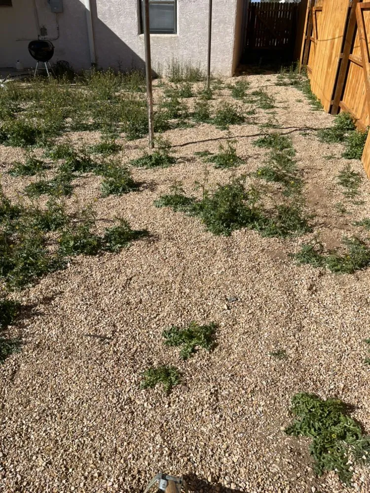 Professional garden landscaping for beautiful yards across Albuquerque, NM - Marcelo's Maintenance and Lawn Care