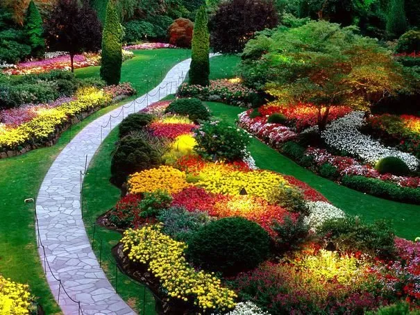 Top-rated landscaping services in Aurora, IL by Marces Landscaping