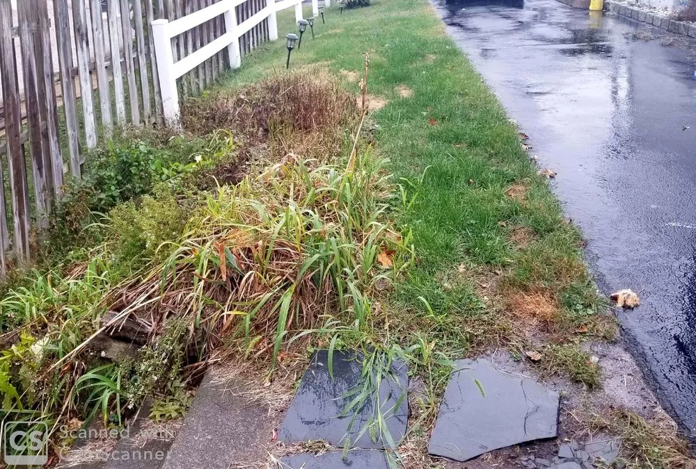 Top-rated yard cleanup service near you across Wayne, NJ - Marchese Landscaping