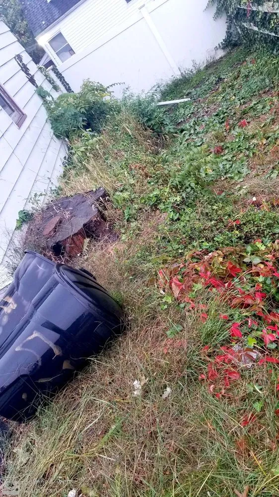 Trusted yard maintenance for residential properties in Wayne, NJ by Marchese Landscaping