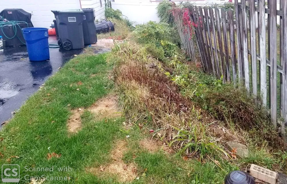 Expert lawn care service with custom design in Wayne, NJ by Marchese Landscaping