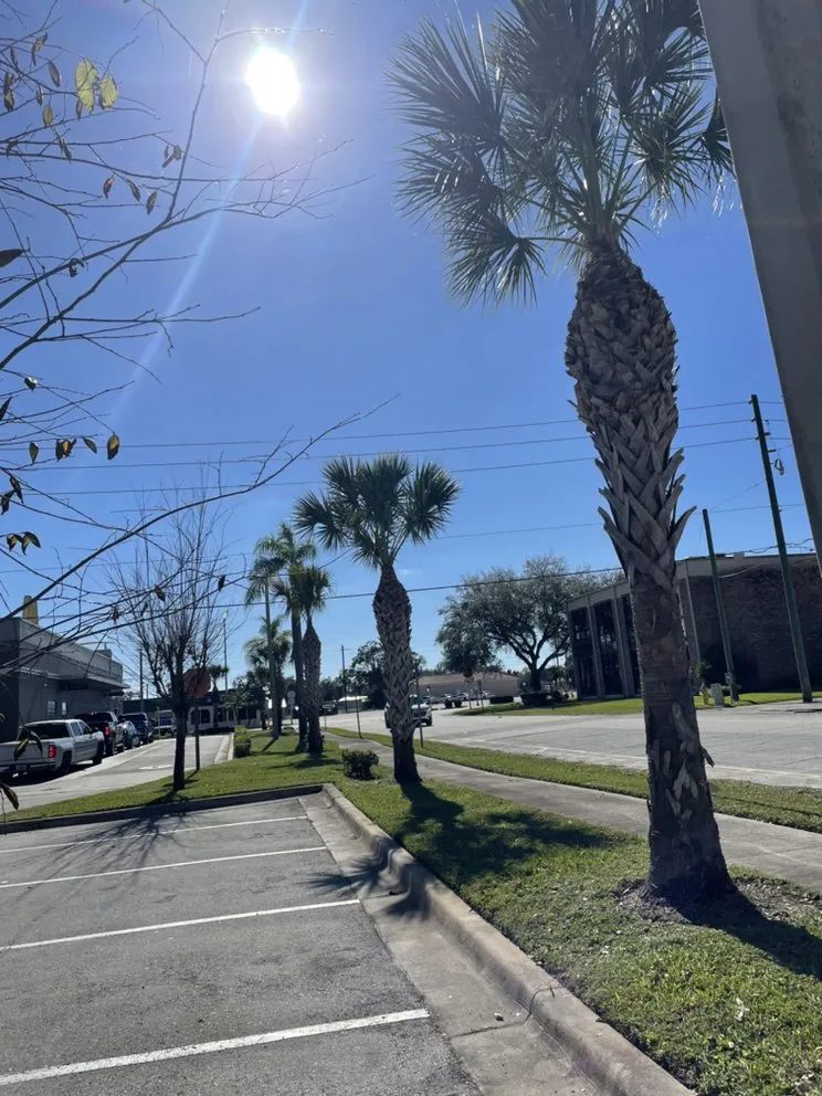 Local yard cleanup service experts serving Port St. Lucie, FL - Marcial Hernandez Lawn Services and Landscape