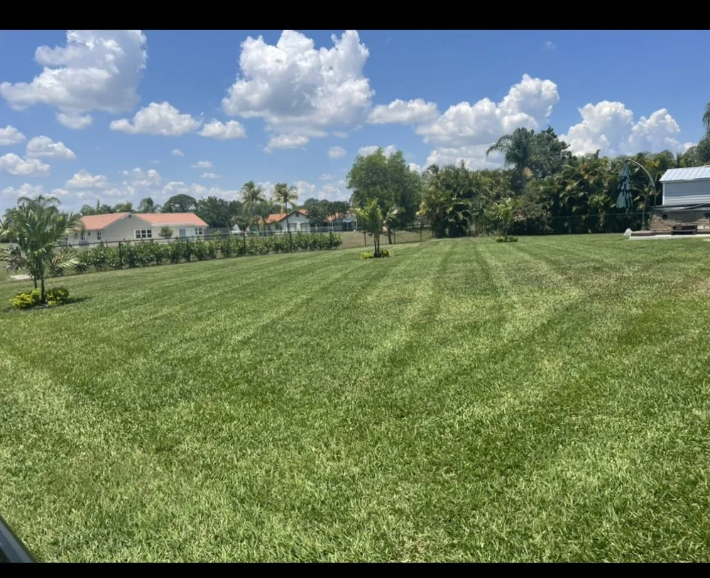 Expert yard maintenance experts serving Port St. Lucie, FL - Marcial Hernandez Lawn Services and Landscape