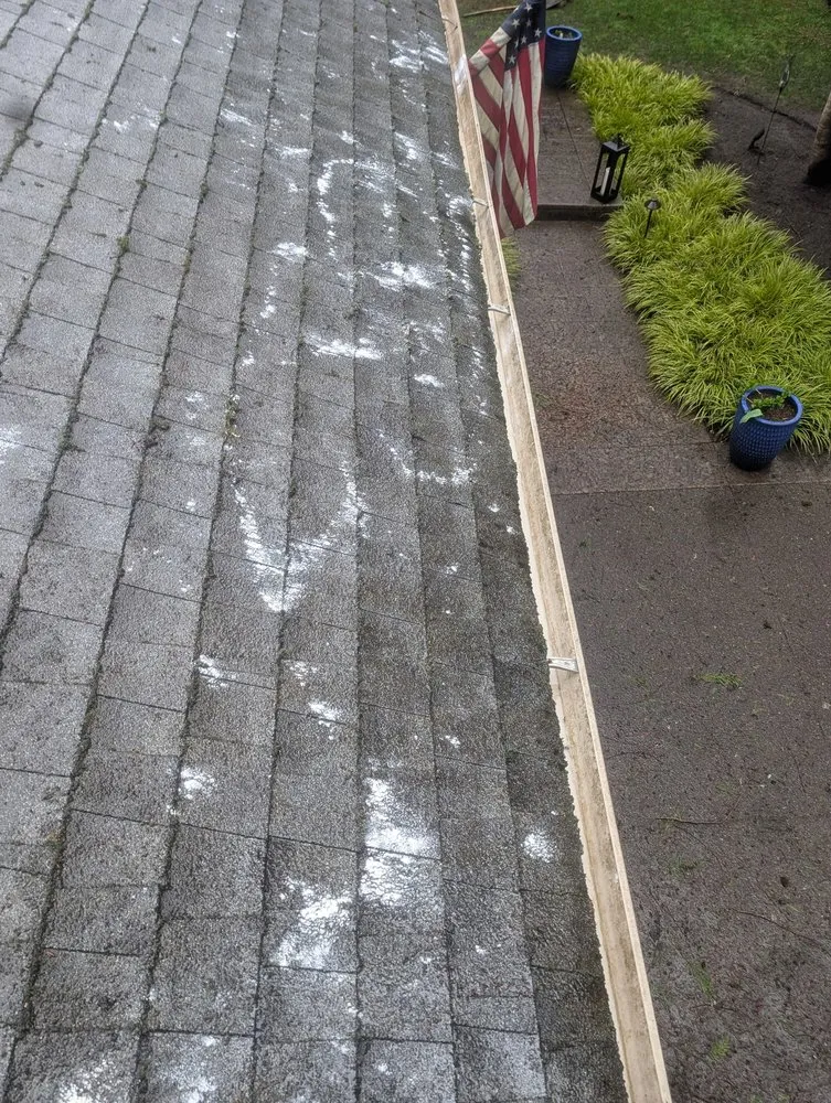 Top-rated yard maintenance in Renton, WA - Marcial Landscaping