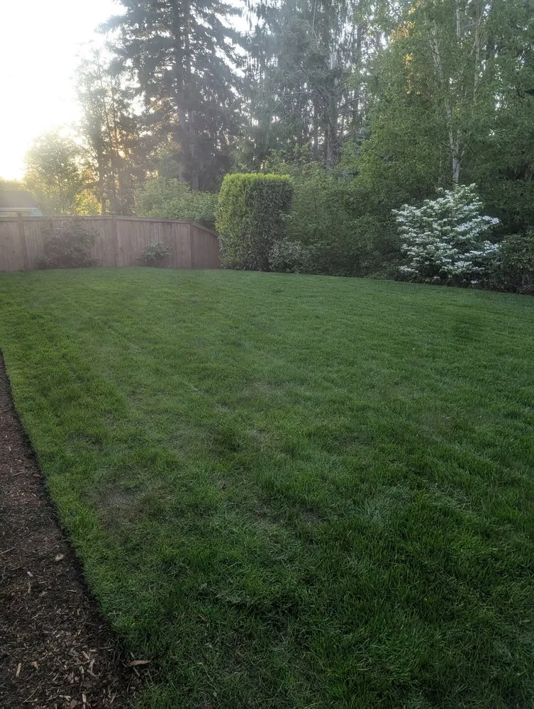 Custom yard maintenance near you across Renton, WA - Marcial Landscaping