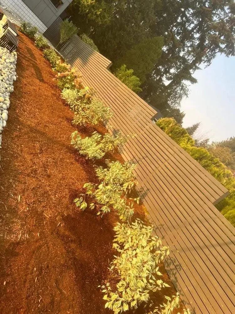 Reliable landscape installation in Renton, WA - Marcial Landscaping