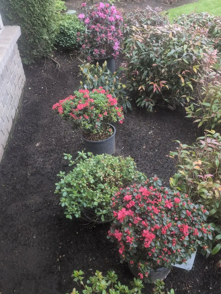 Expert lawn care service for homes in Renton, WA by Marcial Landscaping