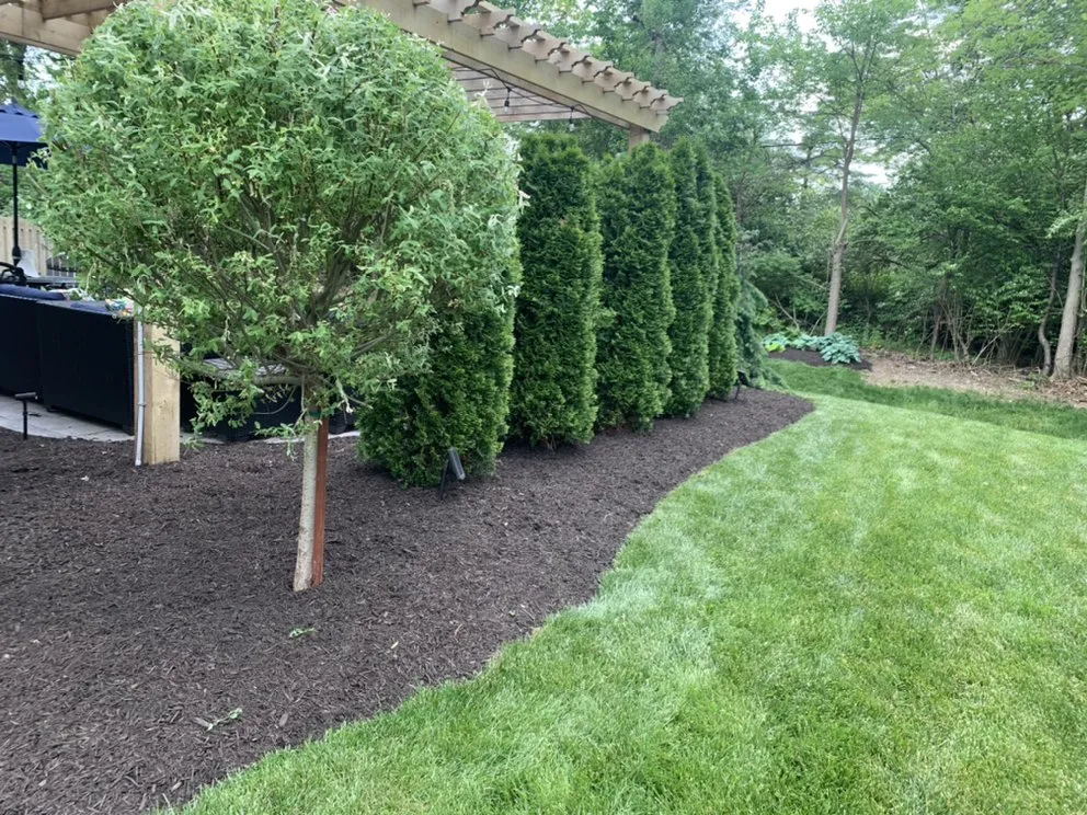 Top-rated landscape design in Indianapolis, IN - Marcial Lawn Care