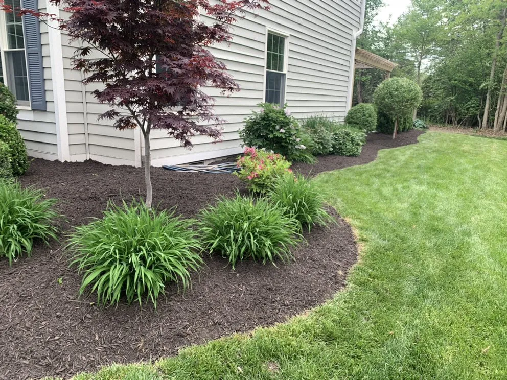 Reliable lawn mowing service experts serving Indianapolis, IN - Marcial Lawn Care