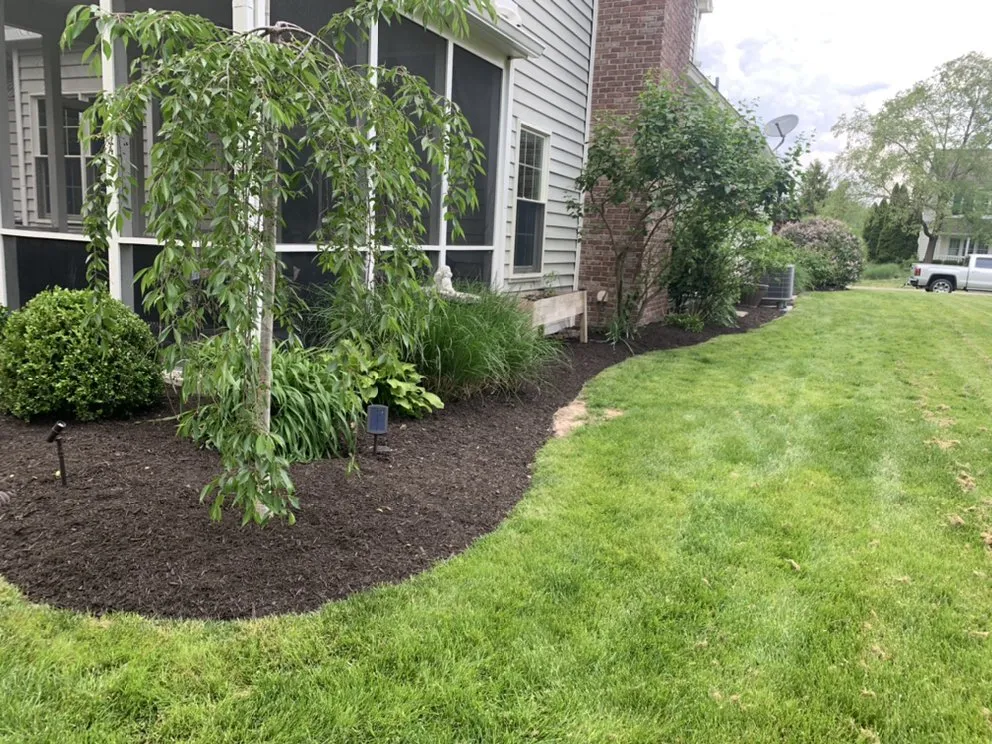 Top-rated landscaping services experts serving Indianapolis, IN - Marcial Lawn Care