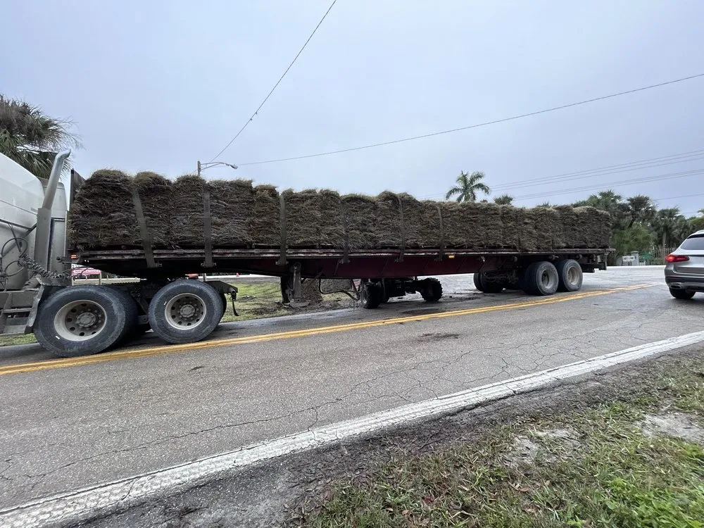 Affordable lawn care service in Miami, FL by Marciano Landscaping