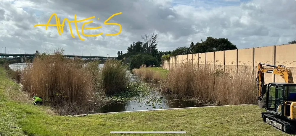 Professional lawn care service with custom design in Miami, FL by Marciano Landscaping