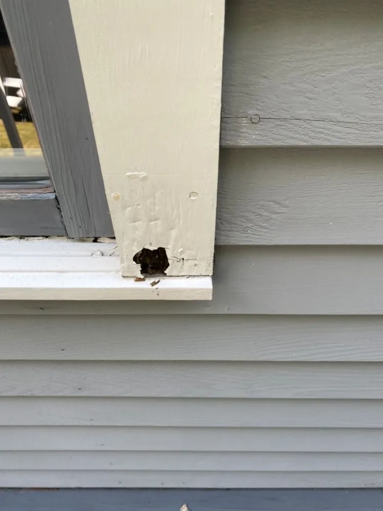 Affordable yard maintenance for residential properties across Everett, MA - Marckinis