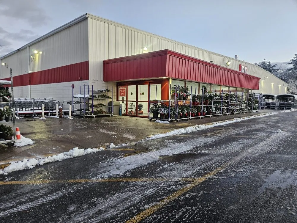 Expert yard cleanup service in Everett, MA - Marckinis