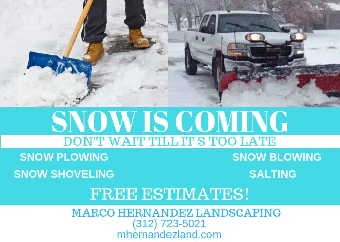 Professional yard maintenance in Wheeling, IL - Marco Hernandez Landscaping And Design