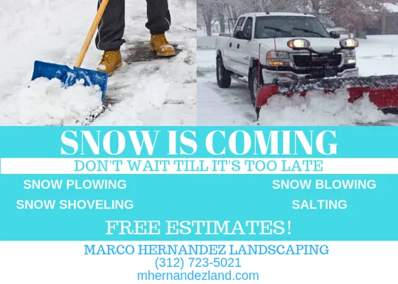 Marco Hernandez Landscaping And Design Logo