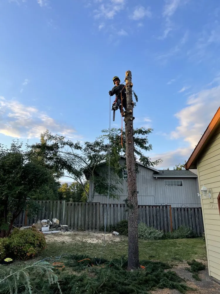 Trusted lawn care service experts serving Wood Village, OR - Marco Joaquin Landscaping