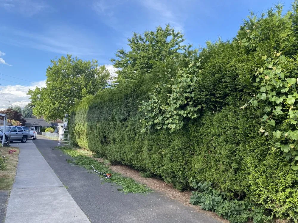 Affordable landscape design experts serving Wood Village, OR - Marco Joaquin Landscaping