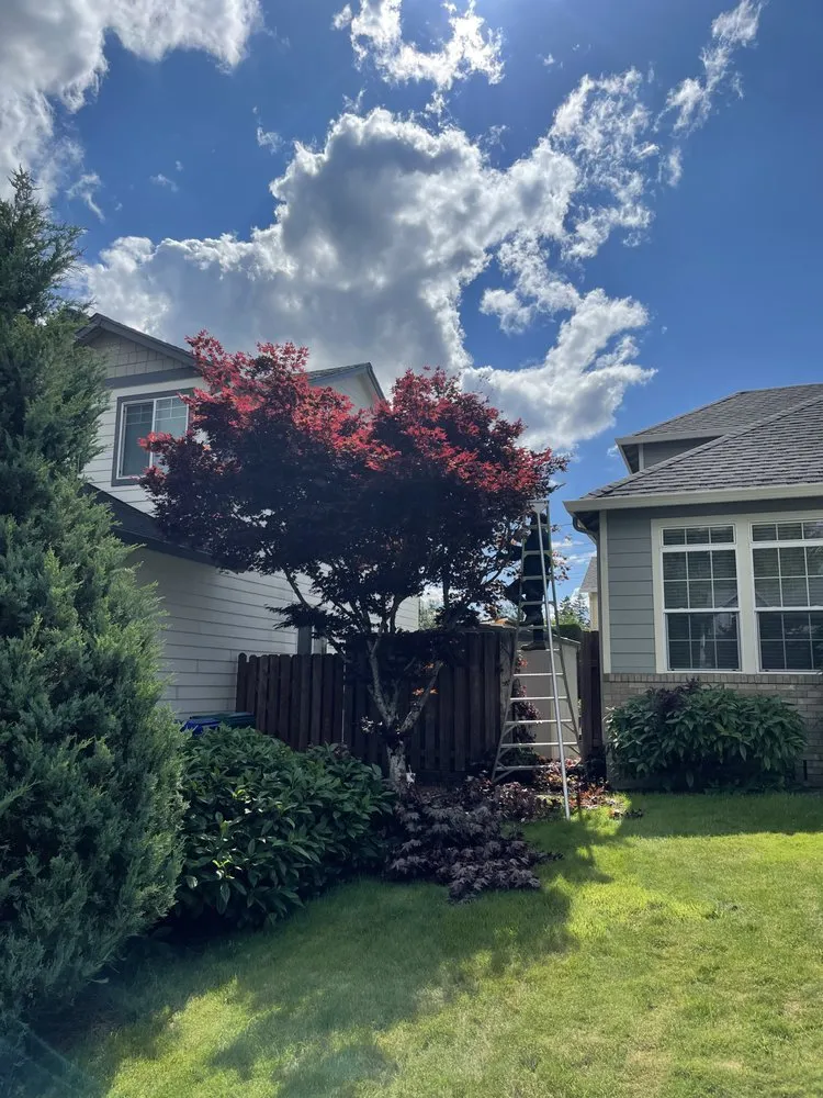 Trusted garden landscaping in Wood Village, OR - Marco Joaquin Landscaping