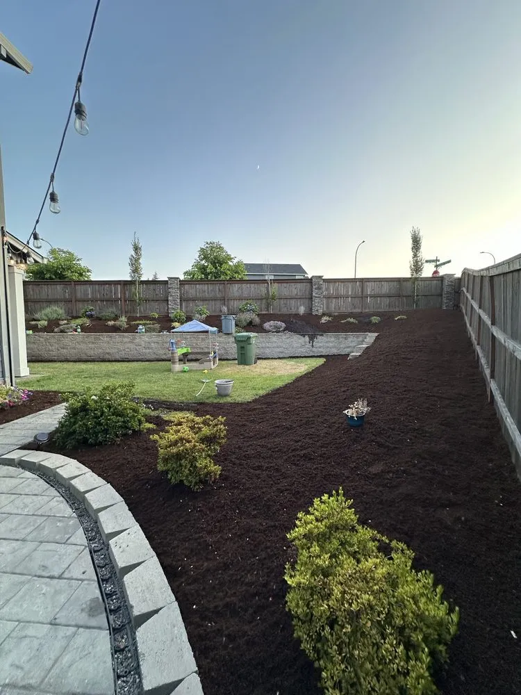 Professional yard cleanup service experts serving Wood Village, OR - Marco Joaquin Landscaping