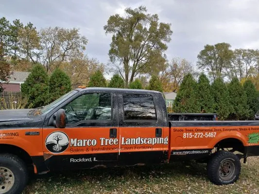 Marco Landscaping Logo