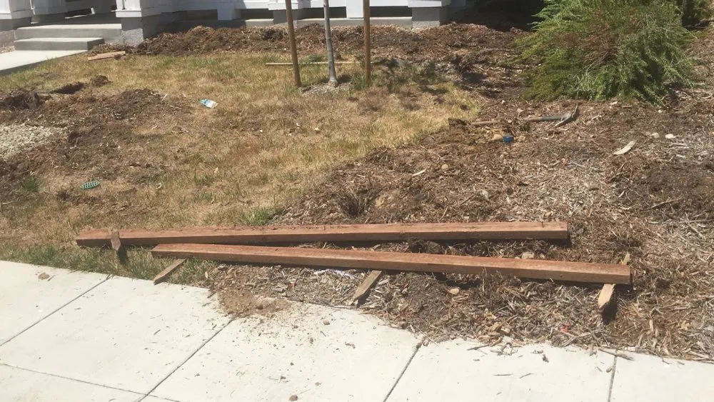 Custom landscaping services in Los Angeles, CA by Marco Landscaping Services