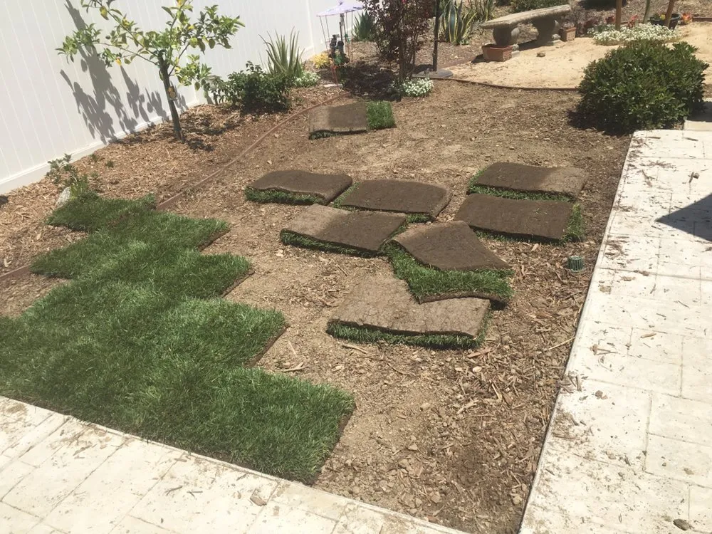 Top-rated yard cleanup service in Los Angeles, CA by Marco Landscaping Services