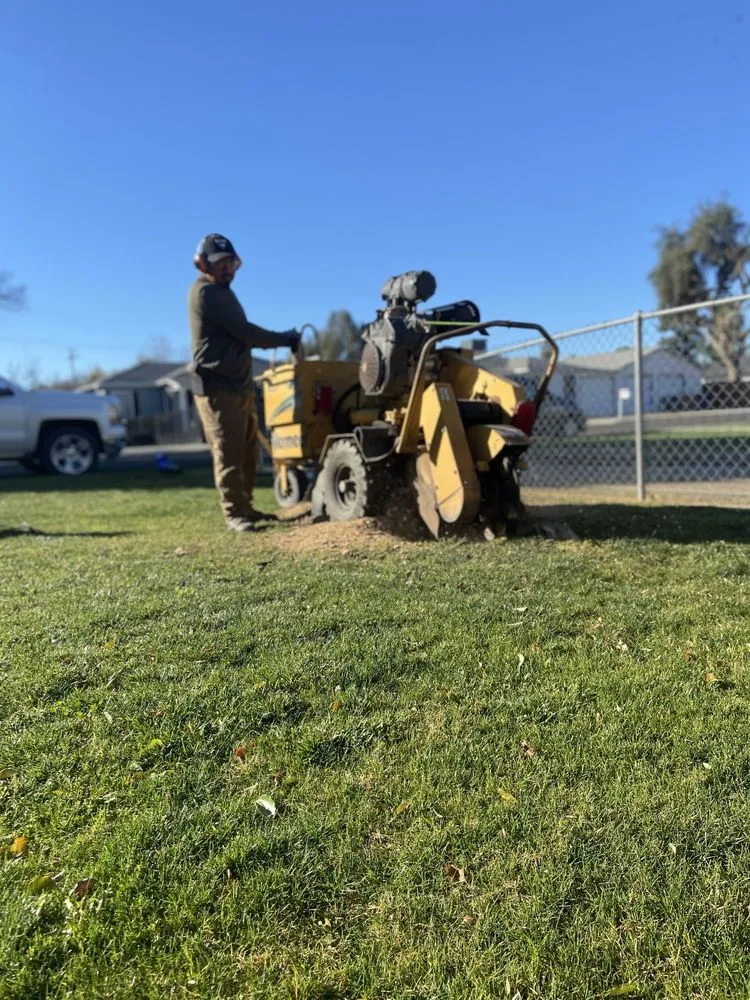 Top-rated lawn mowing service for homes in Bakersfield, CA by Marco Stump Grinding