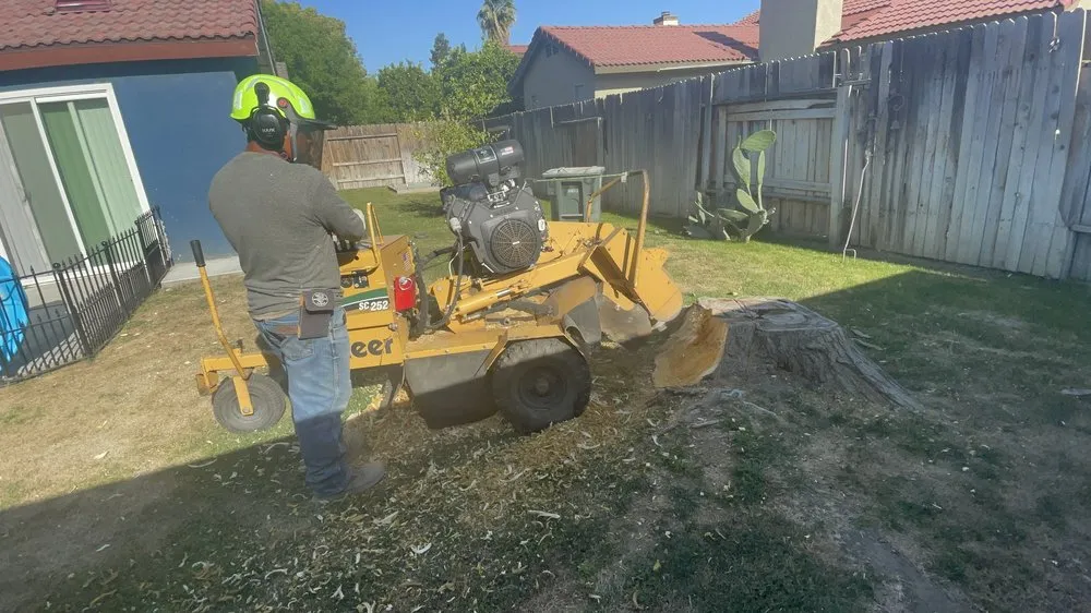 Local yard cleanup service in Bakersfield, CA - Marco Stump Grinding