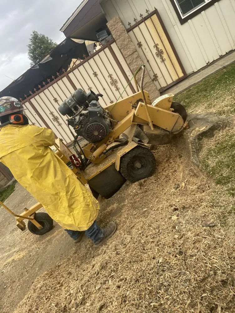 Affordable landscape installation in Bakersfield, CA by Marco Stump Grinding