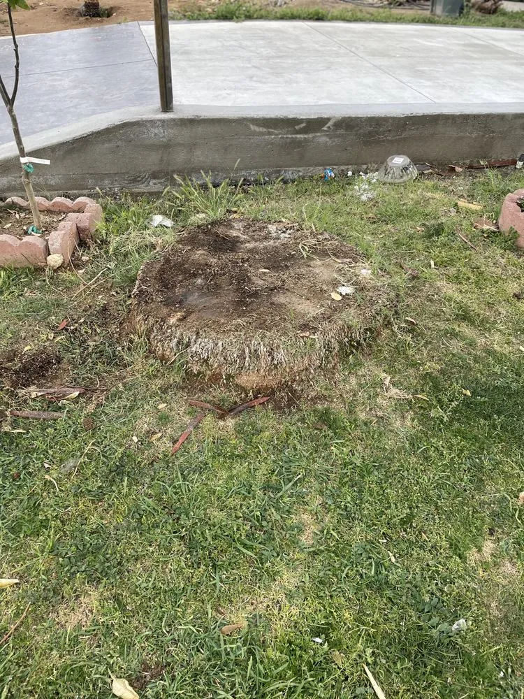 Trusted landscape design in Bakersfield, CA - Marco Stump Grinding