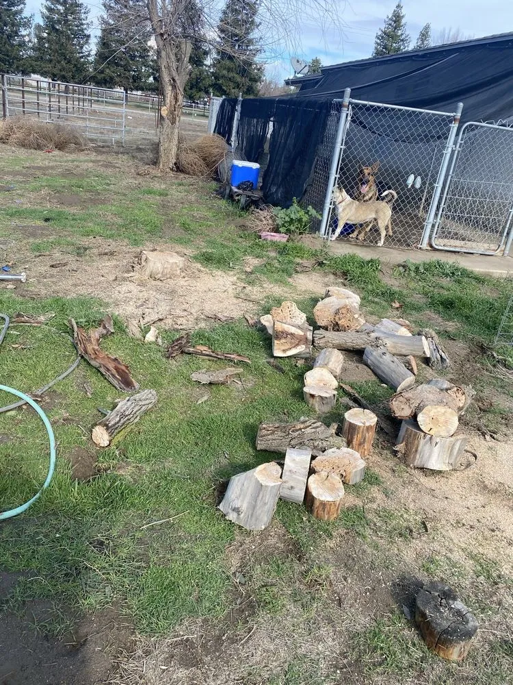 Custom landscape design experts serving Bakersfield, CA - Marco Stump Grinding