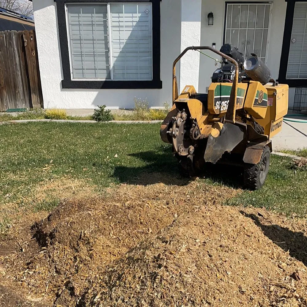 Expert lawn care service in Bakersfield, CA by Marco Stump Grinding